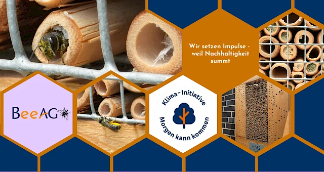 Einzug mit Summen – unsere ersten Gäste sind da!