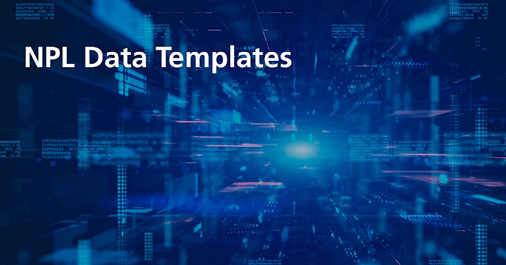 NPL Data Templates bald Pflicht?